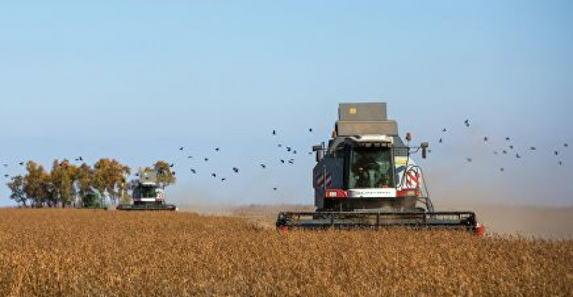 Росстат подвел предварительные итоги СХМП-2021  по сельскохозяйственным организациям, крестьянским(фермерским) хозяйствам и индивидуальным предпринимателям